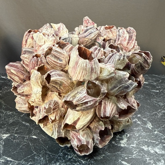 Decorative Barnacle Clusters - Purple and Cream sconces candle holders - Picture 7 of 15